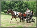 riseholme2009t