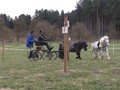 training10