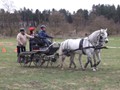 training12
