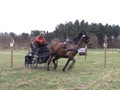 training13