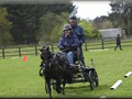 training130512e