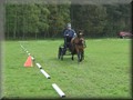 training130512f