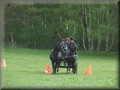 training130512j