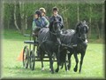 training130512t