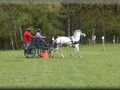 training130512zb