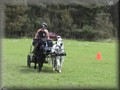 training130512zc