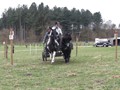 training14