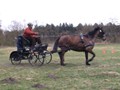 training18