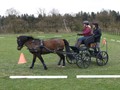 training19