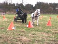 training2