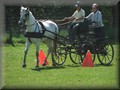 training270512b