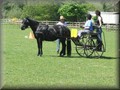 training270512c