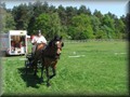 training270512d