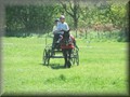 training270512e