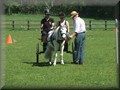 training270512f