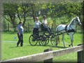 training270512h