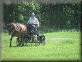 training270512i