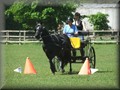 training270512j
