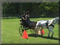 training270512l