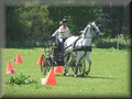 training270512p