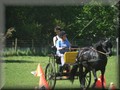 training270512q