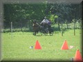 training270512r