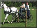 training270512t