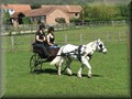training270512u