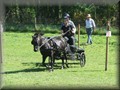 training270512w