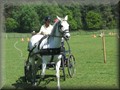 training270512y