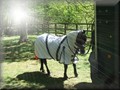 training270512zb