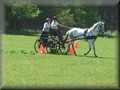 training270512zc