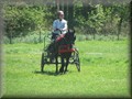 training270512zf