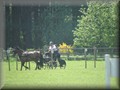 training270512zi