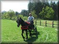 training270512zk
