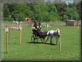 training270512zl