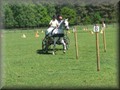 training270512zm
