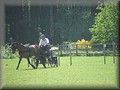 training270512zn