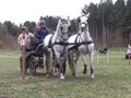 training4