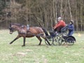 training5