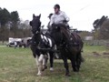 training6