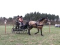 training8